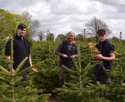 Christmas comes early for Homewood sixth formers