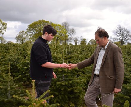 Edward Barham examines a young tree with Lewis
