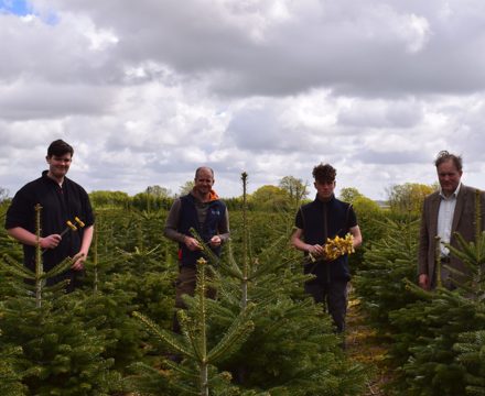 Lewis, David Purnell, Oliver & Edward Barham amongst the trees planted in 2016