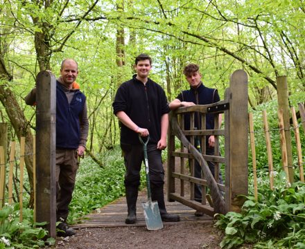 At the gate installed by Lewis and Oliver